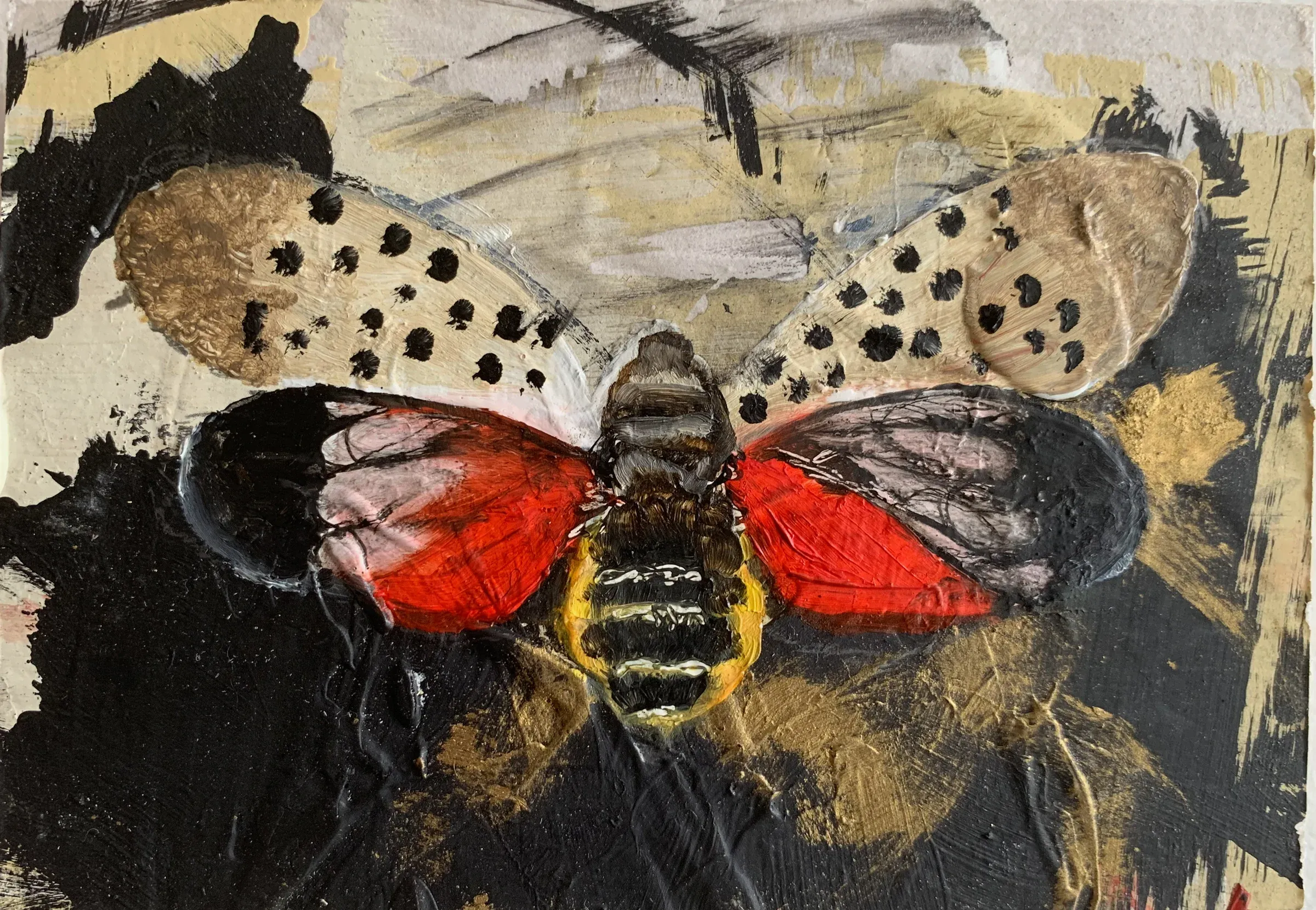 No fireflies for you, T.L. Cheung