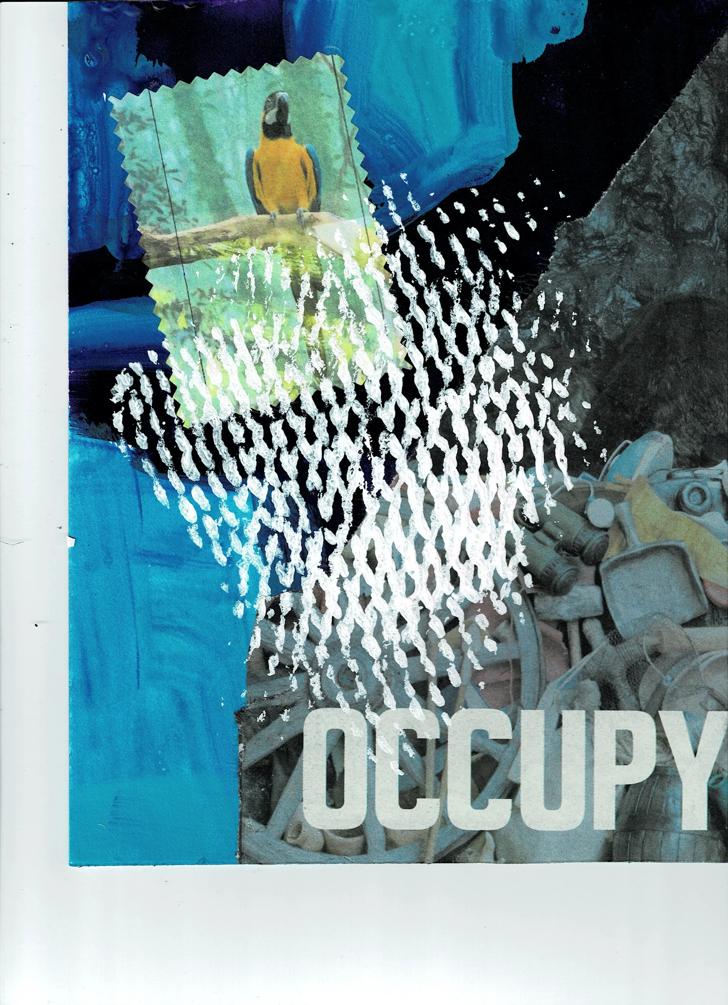 Occupy Parrot, T.L. Cheung