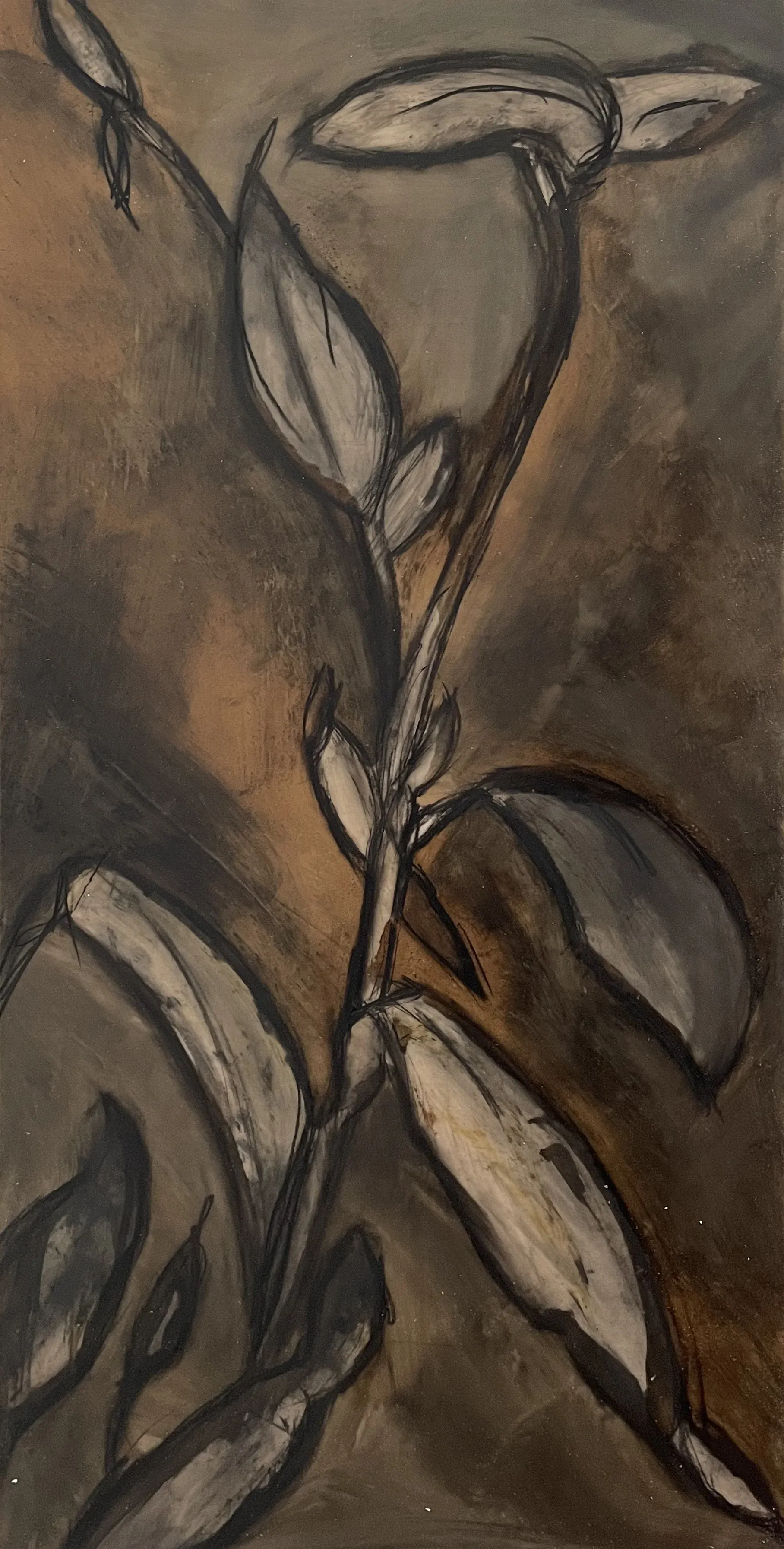 Still life with Plants, T.L. Cheung