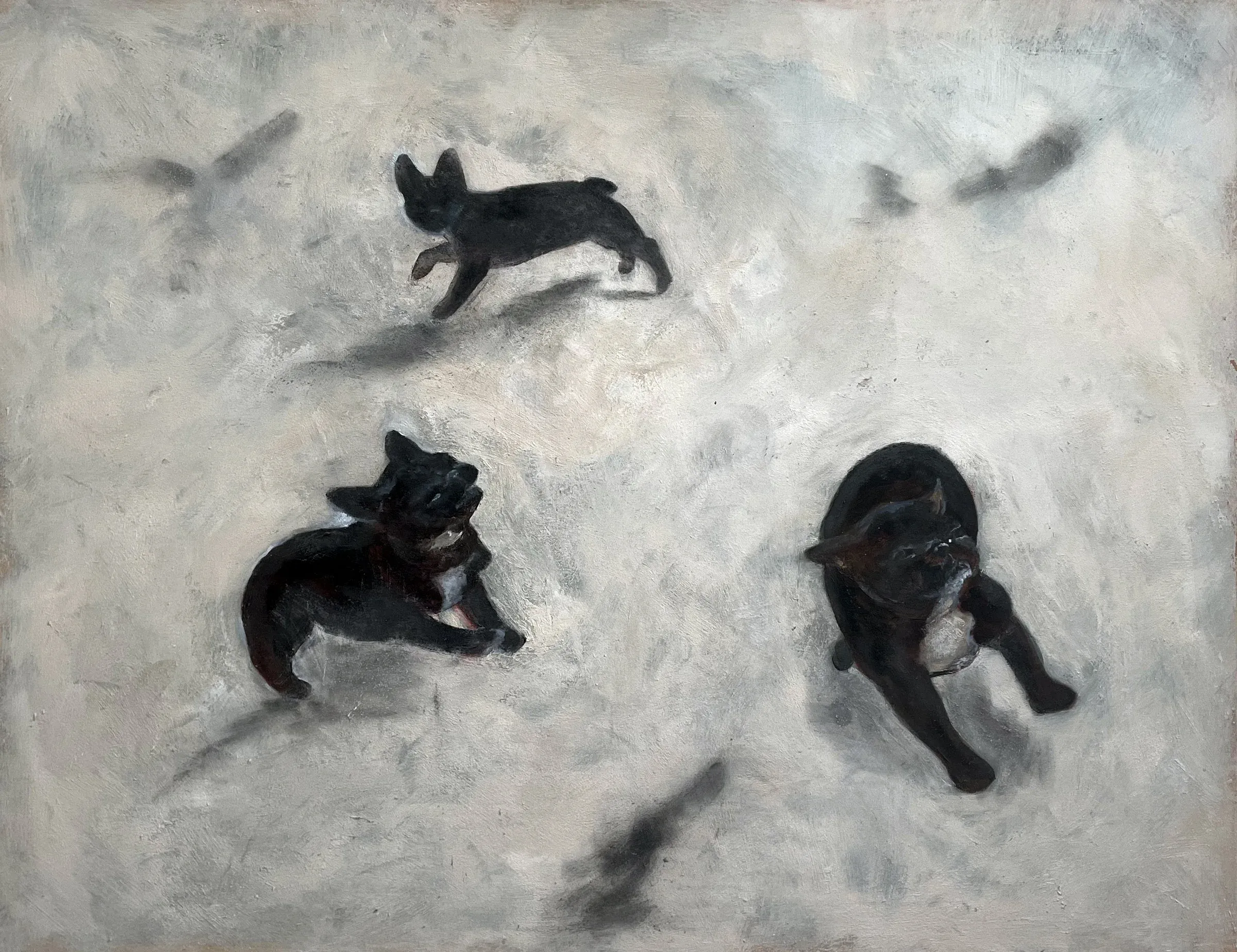 The Animals Fell Apart, T.L. Cheung
