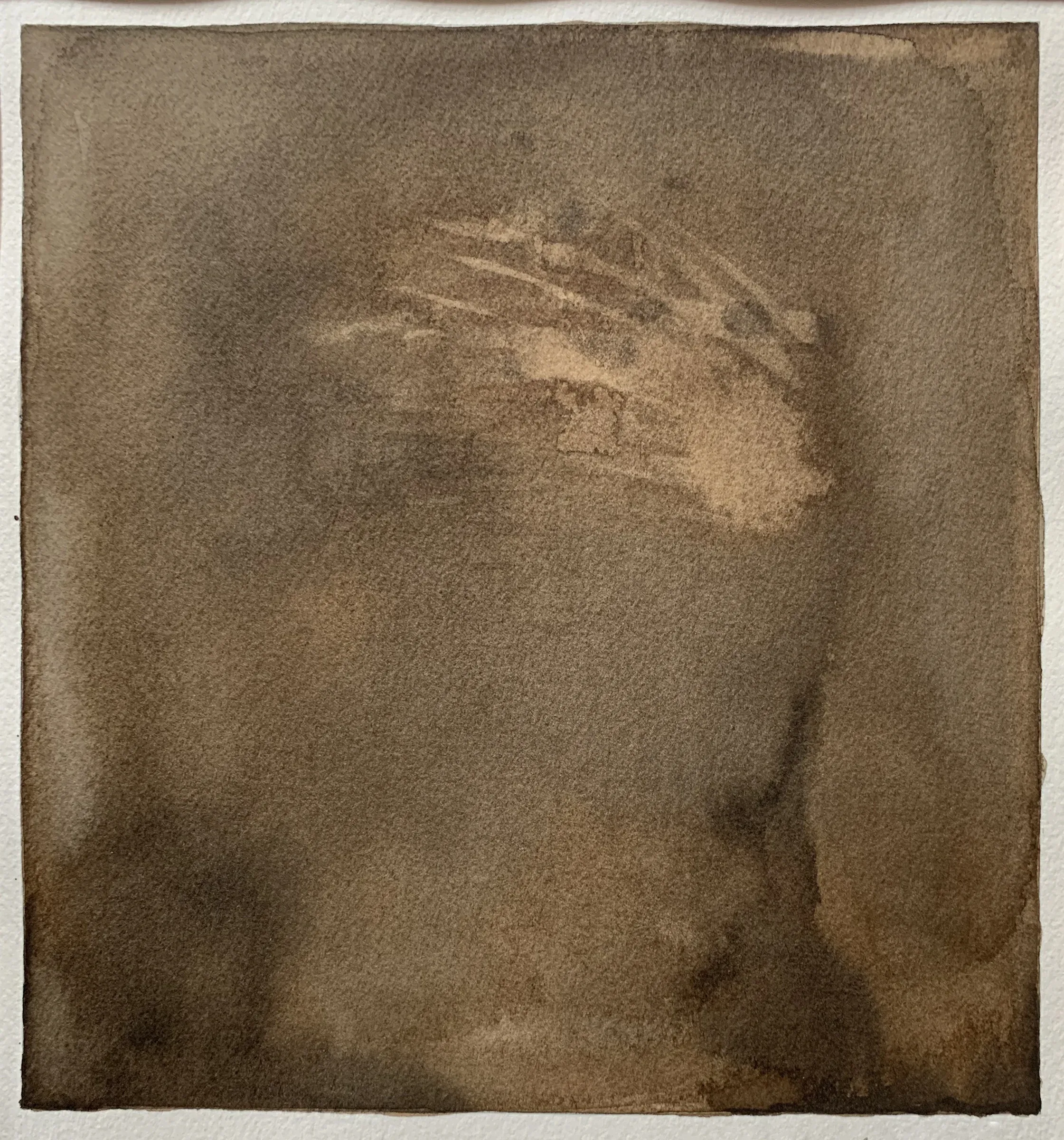 Walnut Ink Drawing 1, T.L. Cheung